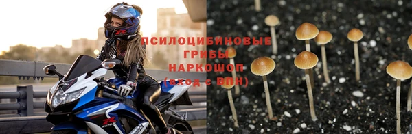 spice Вязники