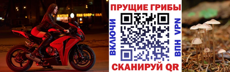 Псилоцибиновые грибы MAGIC MUSHROOMS  Никольское 
